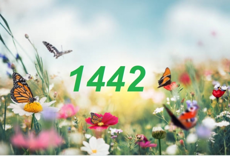 Les musulmans célèbrent le nouvel an 1442