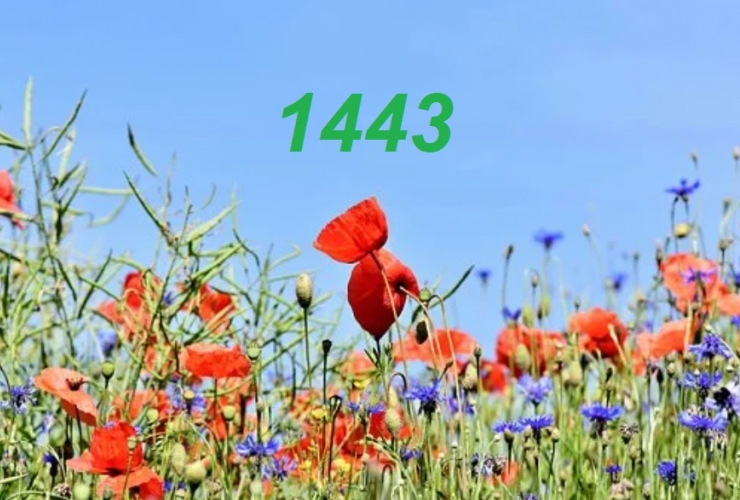 Les musulmans célèbrent le nouvel an 1443