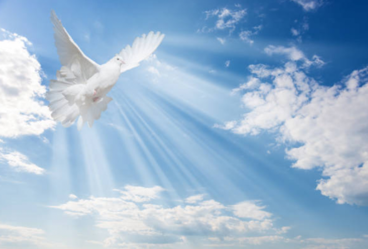 Vœux de Mawlid Annabawi 2020