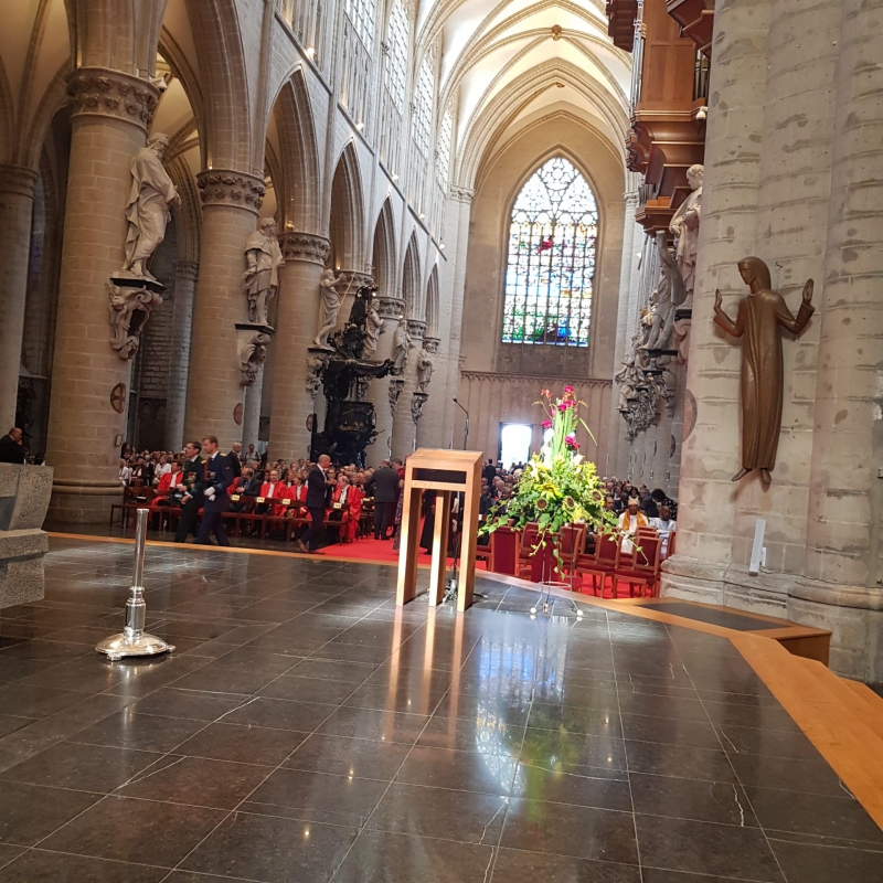 FOTO'S - Het EMB aanwezig op de Belgische nationale feestdag